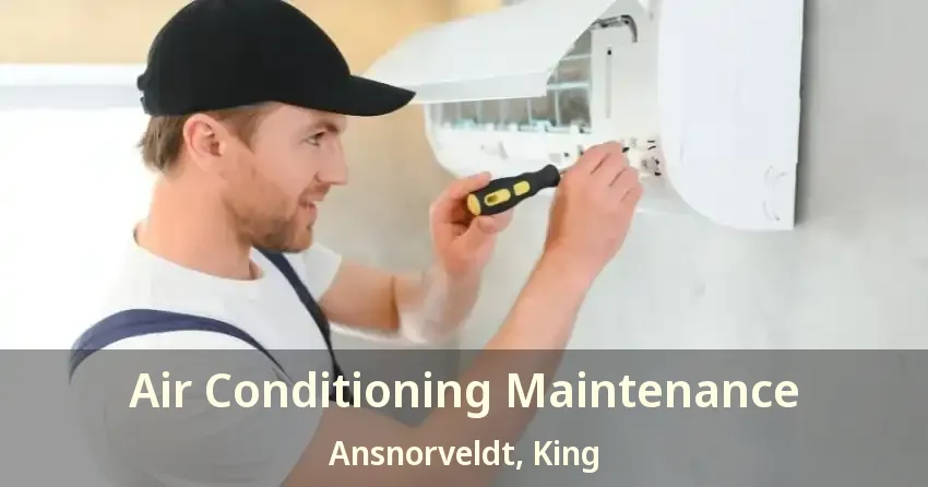 Air Conditioning Maintenance Ansnorveldt, King - ON