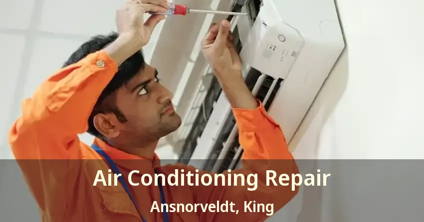 Air Conditioning Repair Ansnorveldt, King - ON