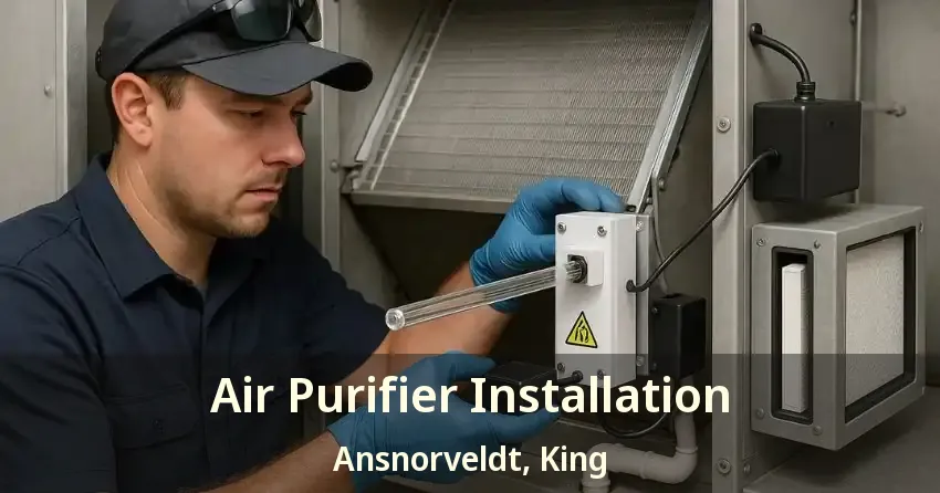 Air Purifier Installation Ansnorveldt, King - ON