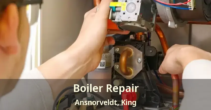 Boiler Repair Ansnorveldt, King - ON