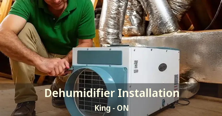 Dehumidifier Installation King - ON
