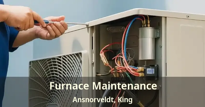 Furnace Maintenance Ansnorveldt, King - ON