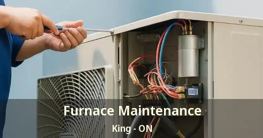 Furnace Maintenance King - ON