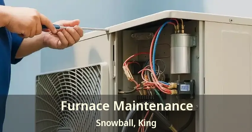 Furnace Maintenance Snowball, King - ON