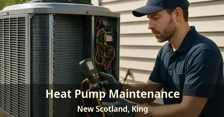 Heat Pump Maintenance New Scotland, King - ON