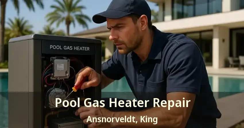 Pool Gas Heater Repair Ansnorveldt, King - ON