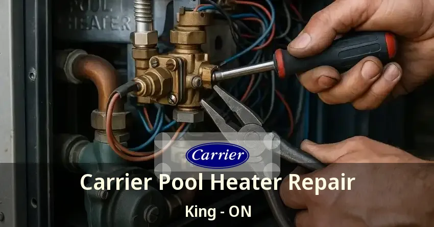 Carrier Pool Heater Repair King - ON