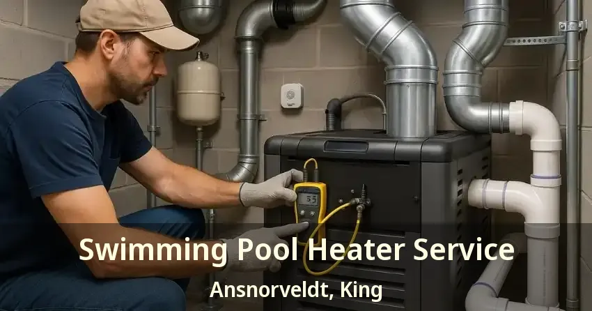 Swimming Pool Heater Service Ansnorveldt, King - ON